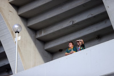 180726 - South Africa v Wales - Nations Championship - Fans