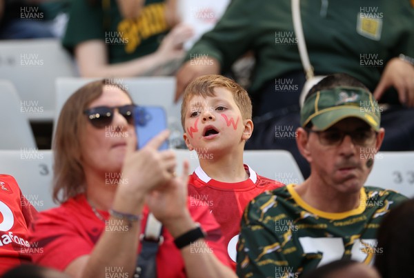 180726 - South Africa v Wales - Nations Championship - Fans