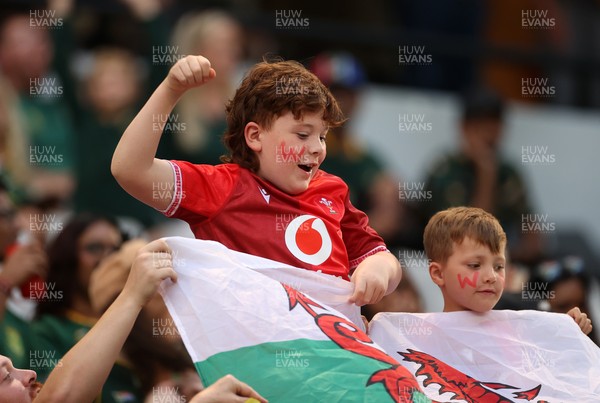 180726 - South Africa v Wales - Nations Championship - Fans
