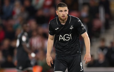 080926 - Southampton v Swansea City, EFL Sky Bet Championship - Zan Vipotnik of Swansea City