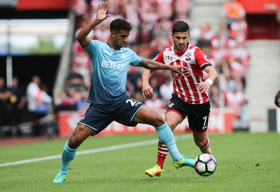 Southampton v Swansea City 180916