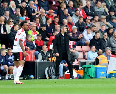 181025 - Southampton v Swansea City - Sky Bet Championship - Alan Sheehan, manager of Swansea City