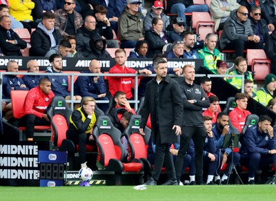 181025 - Southampton v Swansea City - Sky Bet Championship - Alan Sheehan, manager of Swansea City