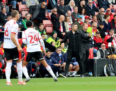 181025 - Southampton v Swansea City - Sky Bet Championship - Alan Sheehan, manager of Swansea City