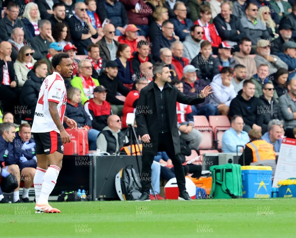 181025 - Southampton v Swansea City - Sky Bet Championship - Alan Sheehan, manager of Swansea City