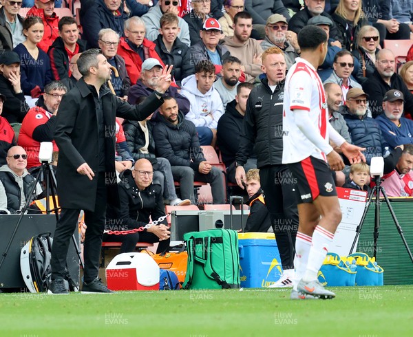 181025 - Southampton v Swansea City - Sky Bet Championship - Alan Sheehan, manager of Swansea City