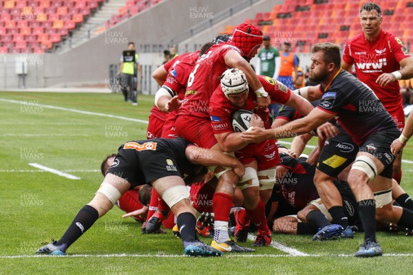 261117 - Southern Kings v Scarlets - Guinness PRO14 -   Will Boyde of Scarlets
