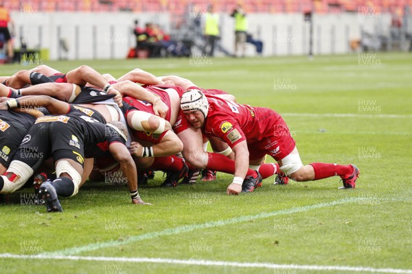 261117 - Southern Kings v Scarlets - Guinness PRO14 -   Will Boyde of Scarlets