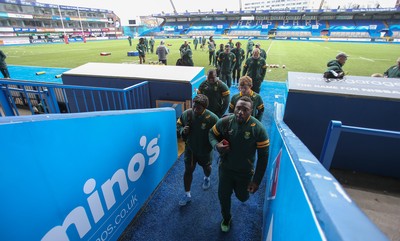 Springboks Training Session 251114