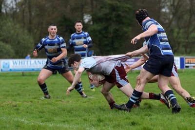 130424 - St Clears RFC v Lampeter Town RFC - Admiral National League 2 West - Guto Ebbsworth scores a try for Lampeter