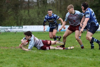 130424 - St Clears RFC v Lampeter Town RFC - Admiral National League 2 West - Guto Ebbsworth scores a try for Lampeter