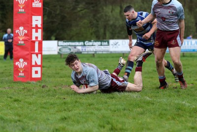 130424 - St Clears RFC v Lampeter Town RFC - Admiral National League 2 West - Guto Ebbsworth scores a try for Lampeter