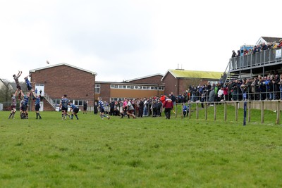 130424 - St Clears RFC v Lampeter Town RFC - Admiral National League 2 West - a line out at St Clears 