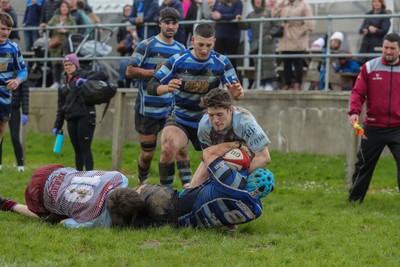 130424 - St Clears RFC v Lampeter Town RFC - Admiral National League 2 West - Rhodri Evans of St Clears is stopped on the Lampeter line