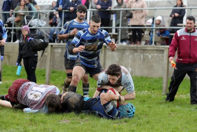 130424 - St Clears RFC v Lampeter Town RFC - Admiral National League 2 West - Rhodri Evans of St Clears is stopped on the Lampeter line