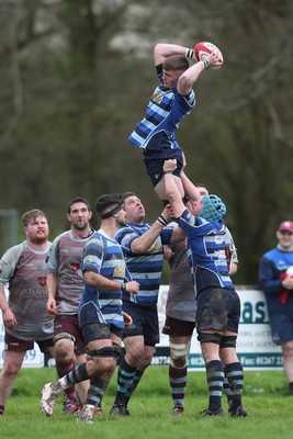 130424 - St Clears RFC v Lampeter Town RFC - Admiral National League 2 West - St Clears win a line out