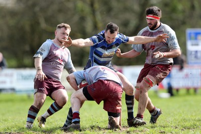 130424 - St Clears RFC v Lampeter Town RFC - Admiral National League 2 West - 