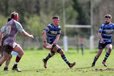 130424 - St Clears RFC v Lampeter Town RFC - Admiral National League 2 West - Sam Miles feeds the St Clears backs 