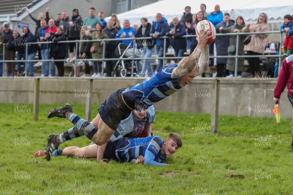 130424 - St Clears RFC v Lampeter Town RFC - Admiral National League 2 West - Dafydd Waters  of St Clears dives in to score a try