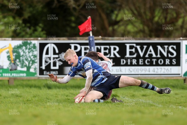 130424 - St Clears RFC v Lampeter Town RFC - Admiral National League 2 West - Dafydd Waters of St Clears scores a try