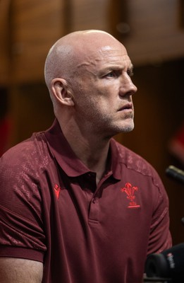 070825 - Picture shows new Wales Senior Mens Head Coach Steve Tandy at the Principality Stadium today