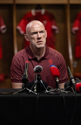 070825 - Picture shows new Wales Senior Mens Head Coach Steve Tandy at the Principality Stadium today