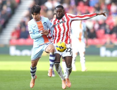 131225 - Stoke City v Swansea City - Sky Bet Championship - Eom Ji-sung of Swansea and Junior Tchamadeu of Stoke