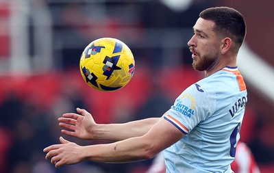 131225 - Stoke City v Swansea City - Sky Bet Championship - Zan Vipotnik of Swansea