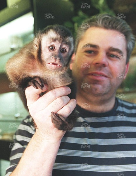 110199 Stolen Monkey - Owner Peppi Tanti of Cardiff, reunited with Marcel, a capuchin monkey after he was stolen