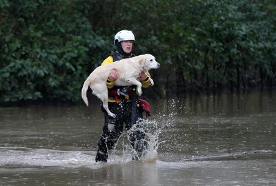 160220 -  Emergency services rescue residents and their pets from flooding caused by Storm Dennis in Treforest, South Wales