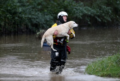 160220 -  Emergency services rescue residents and their pets from flooding caused by Storm Dennis in Treforest, South Wales