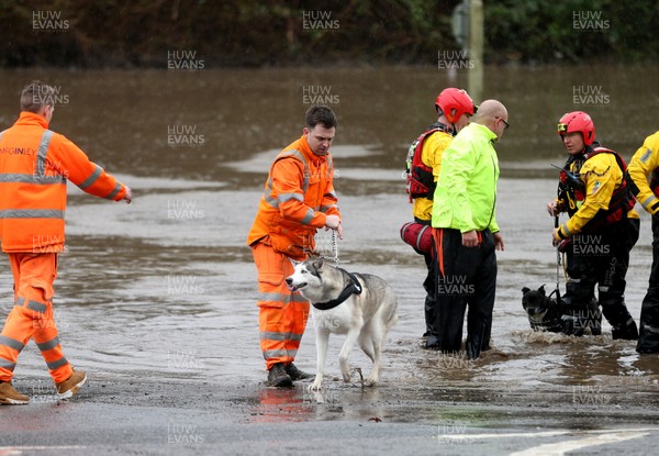 160220 -  Emergency services rescue residents and their dog in Treforest, South Wales