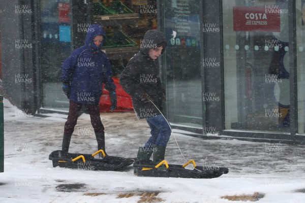 010318 - Storm Emma South Wales - Locals in Llandaff North brave the elements as the winter weather takes hold
