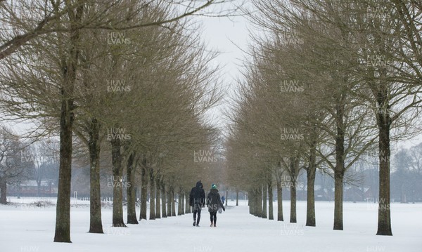 020318 - Storm Emma, Cardiff - Walkers out  in the park in central Cardiff during a break in storm Emma
