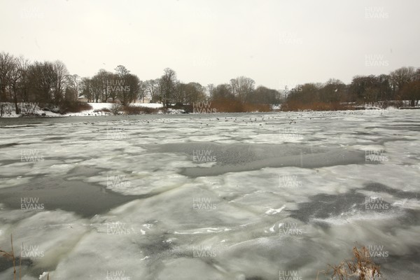 020318 - Storm Emma hits Cardiff - Banks on the River Taff and Llandaff weir lay partially frozen as storm Emma takes hold  