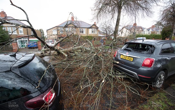 180222 - Storm Eunice, south Wales - A tree has been felled and damaged cars in Heathwood Road Cardiff, after being snapped by high winds as Storm Eunice hits south Wales and southern England