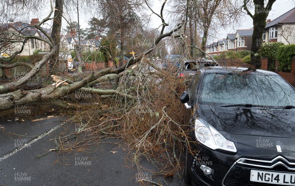 180222 - Storm Eunice, south Wales - A tree has been felled and damaged cars in Heathwood Road Cardiff, after being snapped by high winds as Storm Eunice hits south Wales and southern England