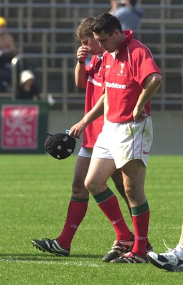 Suntory v Wales 030601