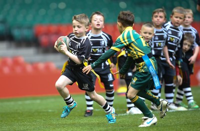 SWALEC Finals TAG Rugby 030515