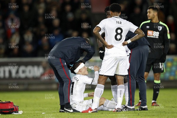 251117 - Swansea City v AFC Bournemouth, Premier League - Roque Mesa of Swansea City receives treatment for a head injury