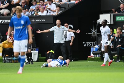 080826 - Swansea City v Birmingham City - Carabao Cup First Round - Chris Davies, Birmingham City Manager appeals after Alex Cochrane of Birmingham City goes down