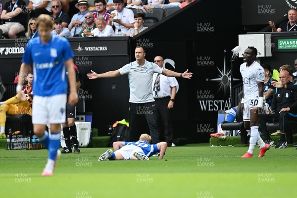080826 - Swansea City v Birmingham City - Carabao Cup First Round - Chris Davies, Birmingham City Manager appeals after Alex Cochrane of Birmingham City goes down