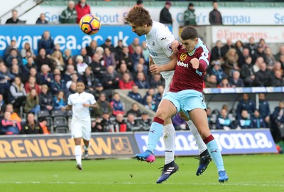 Swansea City v Burnley 040317