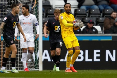 150325 - Swansea City v Burnley - Sky Bet Championship - Lawrence Vigouroux of Swansea City