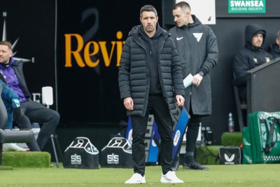 150325 - Swansea City v Burnley - Sky Bet Championship - Swansea City Interim Manager Alan Sheehan