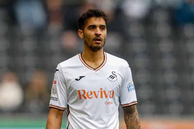 150325 - Swansea City v Burnley - Sky Bet Championship - Kyle Naughton of Swansea City