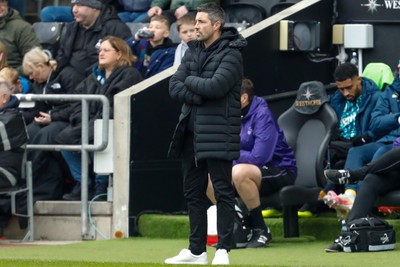 150325 - Swansea City v Burnley - Sky Bet Championship - Swansea City Interim Manager Alan Sheehan