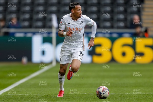 150325 - Swansea City v Burnley - Sky Bet Championship - Ronald of Swansea City