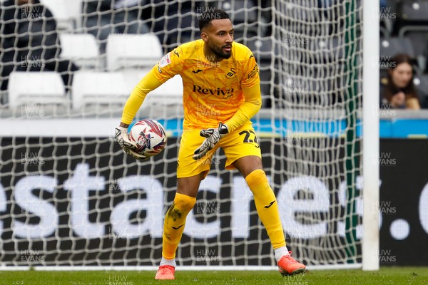 150325 - Swansea City v Burnley - Sky Bet Championship - Lawrence Vigouroux of Swansea City