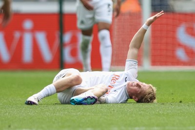 020526 - Swansea City v Charlton Athletic - Sky Bet Championship - Melker Widell of Swansea City goes down with an injury